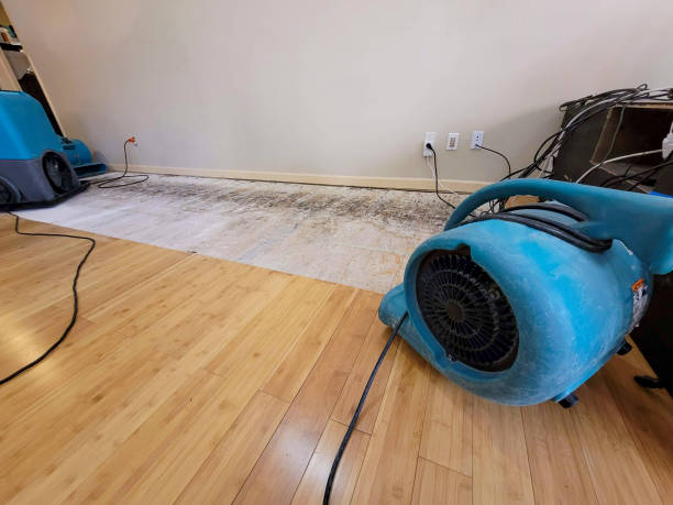 Professional Burst Pipe Water Damage technician working in Ramona, SD